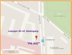 pikasz